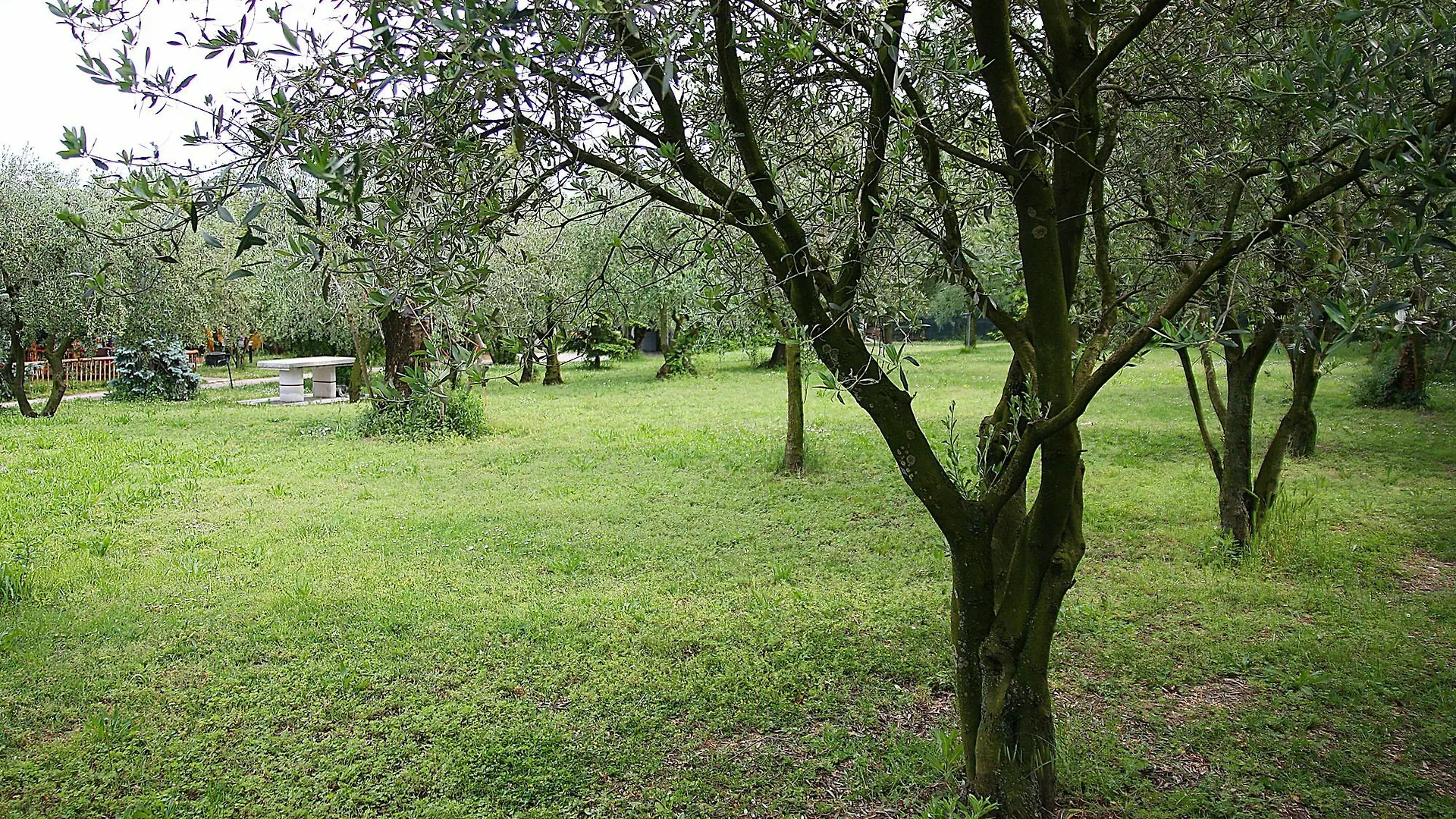 Nocleg ze śniadaniem Bed and Breakfast San Giorgio Lazise Locazione Turistica Colà
